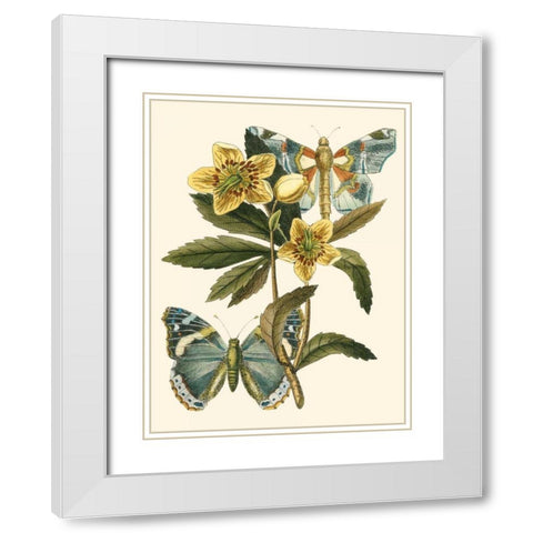 Butterfly Oasis III White Modern Wood Framed Art Print with Double Matting by Vision Studio