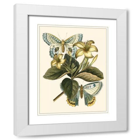Butterfly Oasis IV White Modern Wood Framed Art Print with Double Matting by Vision Studio