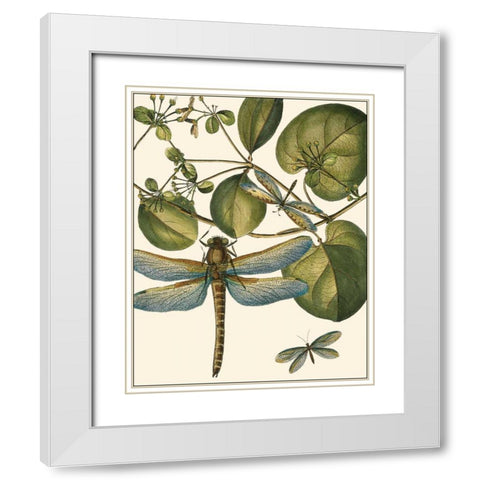 Dragonfly Medley I White Modern Wood Framed Art Print with Double Matting by Vision Studio