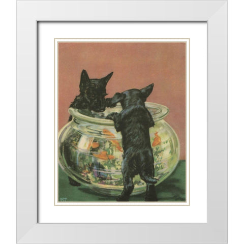 Terrier Trouble VI White Modern Wood Framed Art Print with Double Matting by Unknown