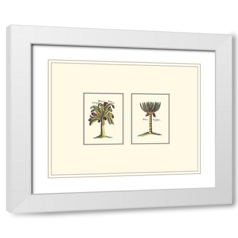 Miniature Palm III White Modern Wood Framed Art Print with Double Matting by Vision Studio