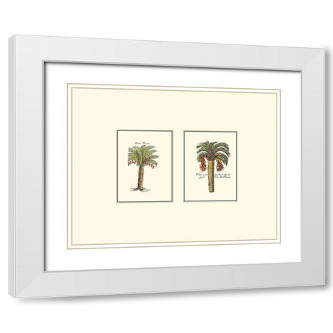 Miniature Palm IV White Modern Wood Framed Art Print with Double Matting by Vision Studio