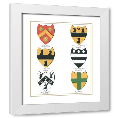Coat of Arms II White Modern Wood Framed Art Print with Double Matting by Catton