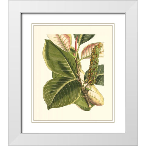Fantastical Botanical IV White Modern Wood Framed Art Print with Double Matting by Vision Studio