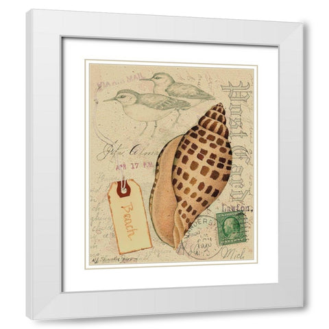 Postcard Shells I White Modern Wood Framed Art Print with Double Matting by Pallan, Nancy S.
