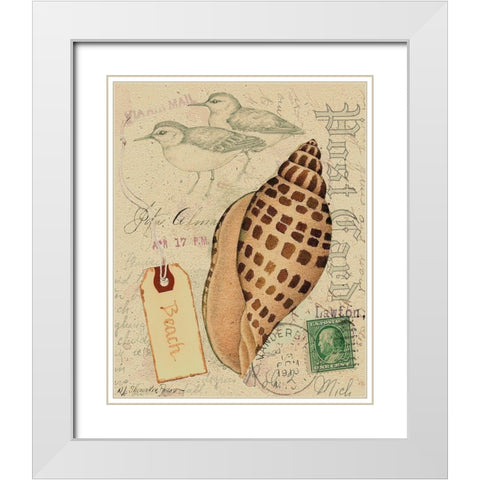 Postcard Shells I White Modern Wood Framed Art Print with Double Matting by Pallan, Nancy S.