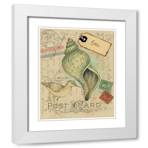 Postcard Shells II White Modern Wood Framed Art Print with Double Matting by Pallan, Nancy S.