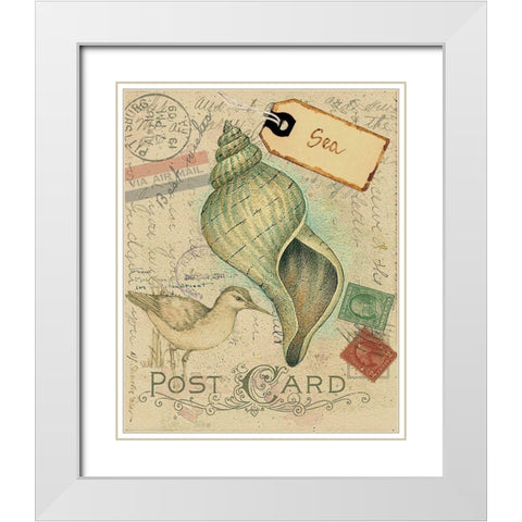 Postcard Shells II White Modern Wood Framed Art Print with Double Matting by Pallan, Nancy S.