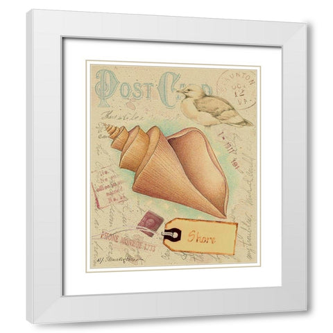 Postcard Shells III White Modern Wood Framed Art Print with Double Matting by Pallan, Nancy S.