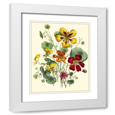 Summer Flowers I White Modern Wood Framed Art Print with Double Matting by Unknown