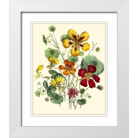 Summer Flowers I White Modern Wood Framed Art Print with Double Matting by Unknown