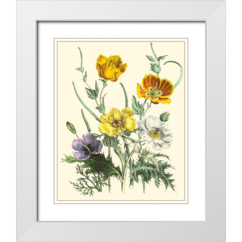 Summer Flowers II White Modern Wood Framed Art Print with Double Matting by Unknown