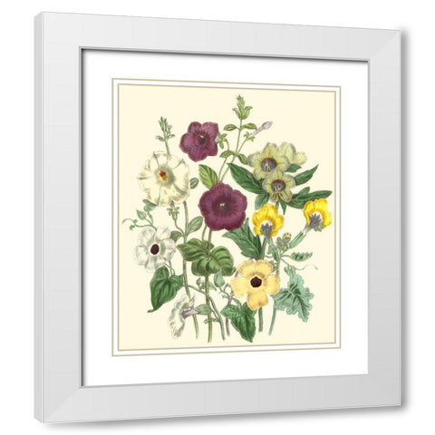 Summer Flowers IV White Modern Wood Framed Art Print with Double Matting by Unknown
