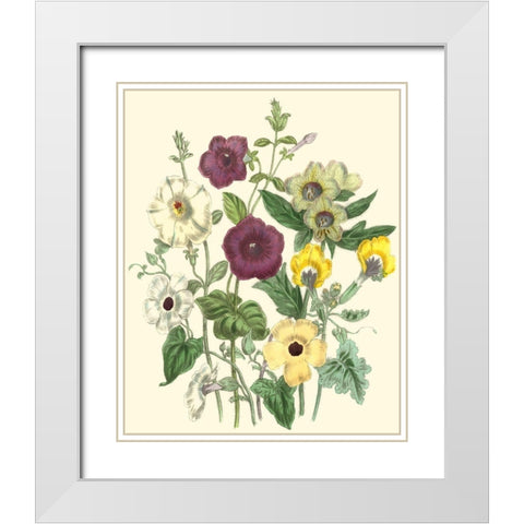 Summer Flowers IV White Modern Wood Framed Art Print with Double Matting by Unknown