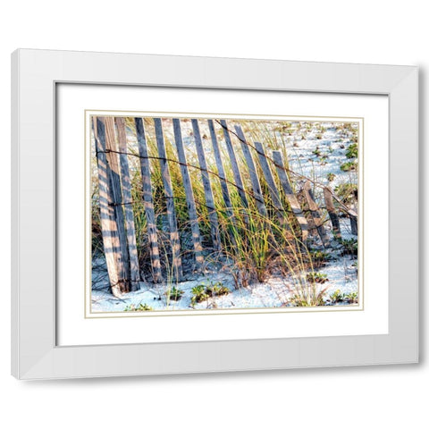 Sea Oats I White Modern Wood Framed Art Print with Double Matting by Head, Danny