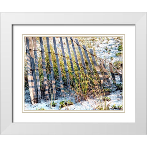 Sea Oats I White Modern Wood Framed Art Print with Double Matting by Head, Danny