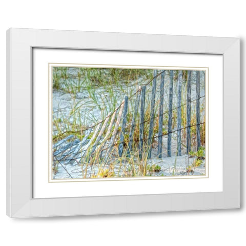 Sea Oats II White Modern Wood Framed Art Print with Double Matting by Head, Danny