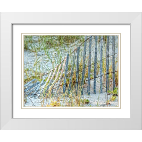Sea Oats II White Modern Wood Framed Art Print with Double Matting by Head, Danny