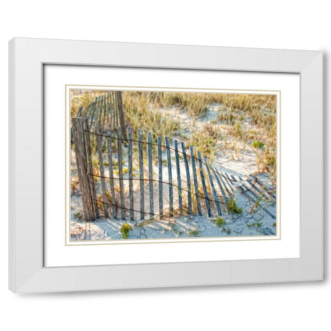 Sea Oats III White Modern Wood Framed Art Print with Double Matting by Head, Danny