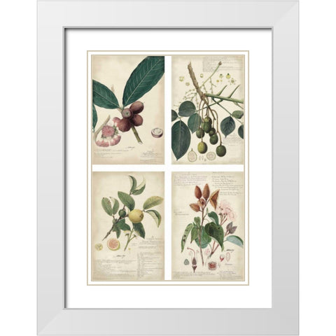 Mini Descubes White Modern Wood Framed Art Print with Double Matting by Descubes, A.