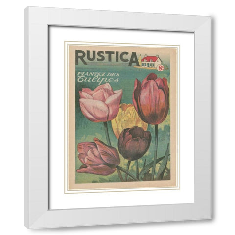 Plantez Des Tulips White Modern Wood Framed Art Print with Double Matting by Unknown