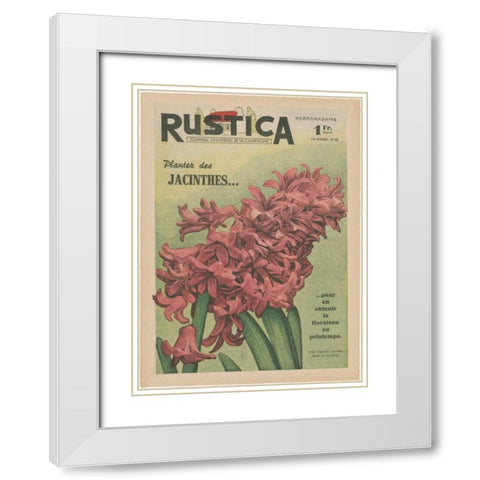 Plantez Des Jacinthes White Modern Wood Framed Art Print with Double Matting by Unknown