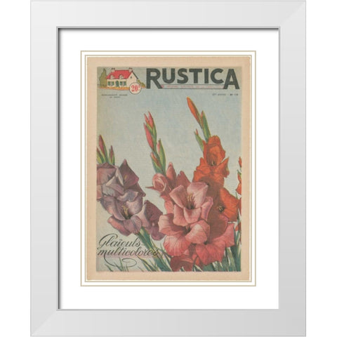 Plantez Des Glaieuls White Modern Wood Framed Art Print with Double Matting by Unknown