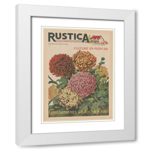 Plantez Des Chrysanthemes White Modern Wood Framed Art Print with Double Matting by Unknown