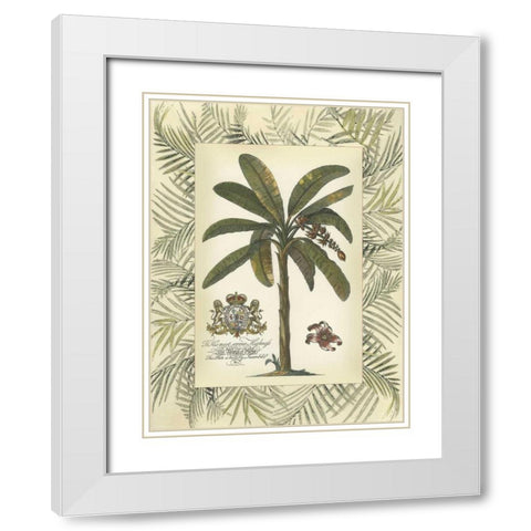 Palm in Bamboo Frame II White Modern Wood Framed Art Print with Double Matting by Vision Studio