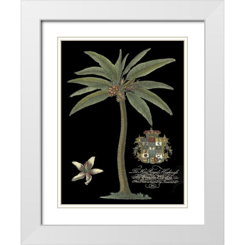 Palm on Black I White Modern Wood Framed Art Print with Double Matting by Unknown