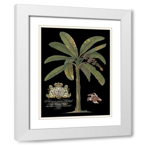 Palm on Black II White Modern Wood Framed Art Print with Double Matting by Unknown