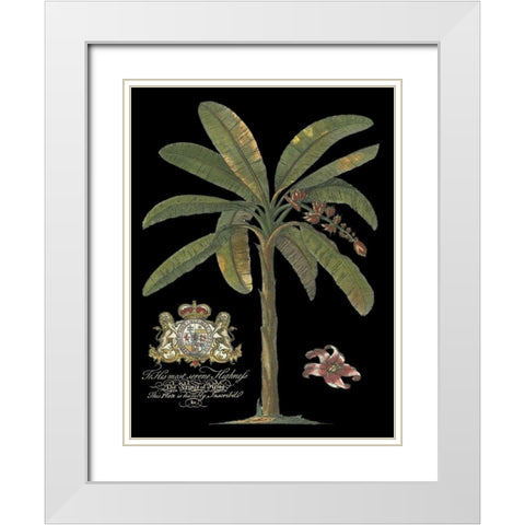 Palm on Black II White Modern Wood Framed Art Print with Double Matting by Unknown