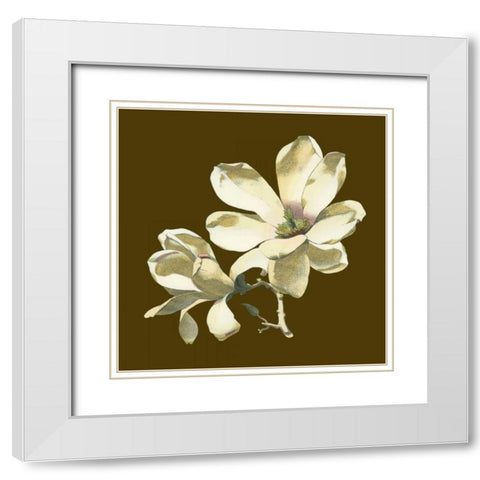Magnolia on Taupe I White Modern Wood Framed Art Print with Double Matting by Unknown