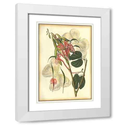 Floral Fantasia I White Modern Wood Framed Art Print with Double Matting by Unknown