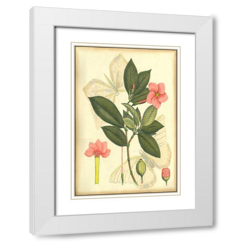 Floral Fantasia II White Modern Wood Framed Art Print with Double Matting by Unknown