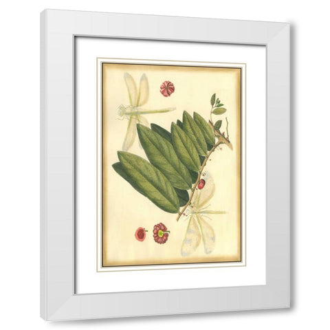 Floral Fantasia V White Modern Wood Framed Art Print with Double Matting by Unknown