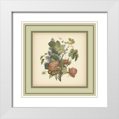 Tuscany Bouquet III White Modern Wood Framed Art Print with Double Matting by Unknown