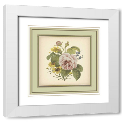 Tuscany Bouquet VIII White Modern Wood Framed Art Print with Double Matting by Unknown