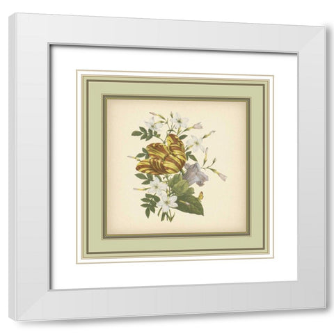 Tuscany Bouquet IX White Modern Wood Framed Art Print with Double Matting by Unknown