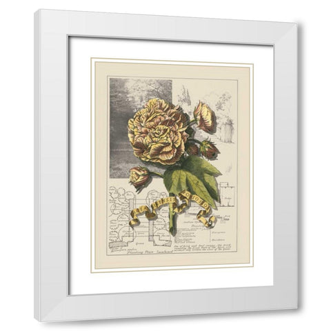 Garden in June II White Modern Wood Framed Art Print with Double Matting by Bookman, D.