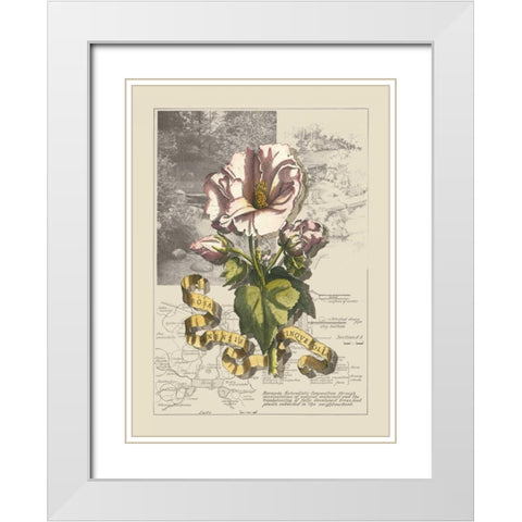 Garden in June III White Modern Wood Framed Art Print with Double Matting by Bookman, D.