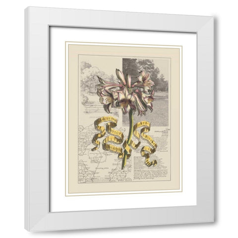 Garden in June IV White Modern Wood Framed Art Print with Double Matting by Bookman, D.