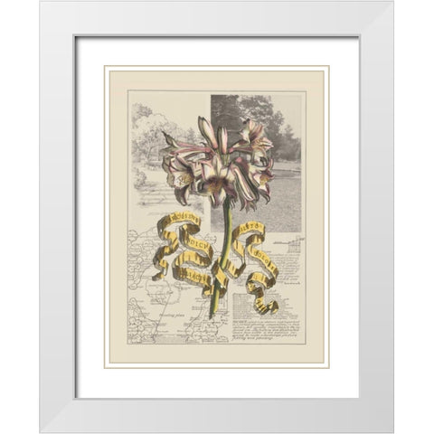 Garden in June IV White Modern Wood Framed Art Print with Double Matting by Bookman, D.