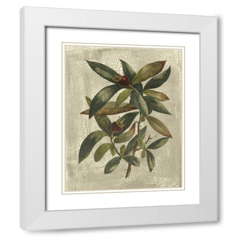 Printed Deshayes Trees III White Modern Wood Framed Art Print with Double Matting by Vision Studio