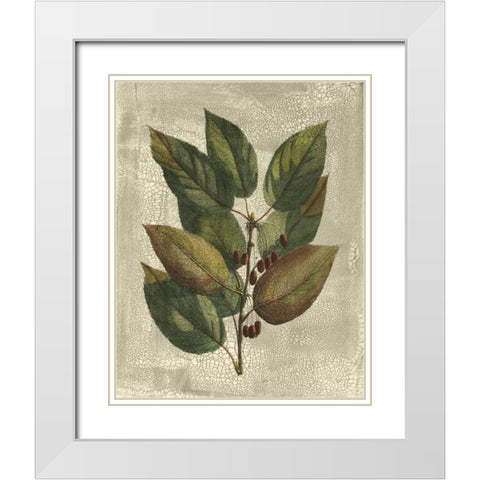 Printed Deshayes Trees IV White Modern Wood Framed Art Print with Double Matting by Vision Studio