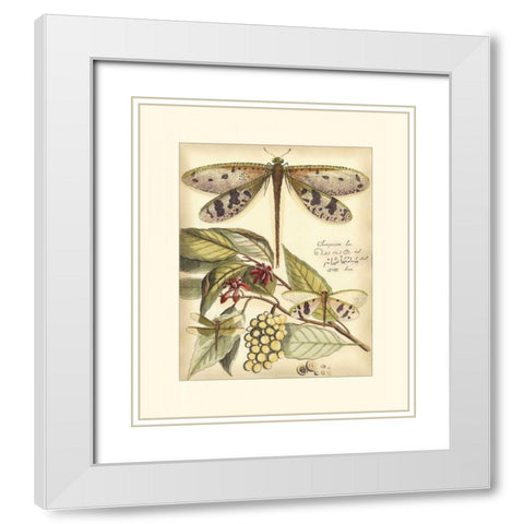 Whimsical Dragonflies I White Modern Wood Framed Art Print with Double Matting by Vision Studio