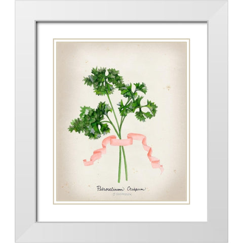 Herb Series II  White Modern Wood Framed Art Print with Double Matting by Goldberger, Jennifer