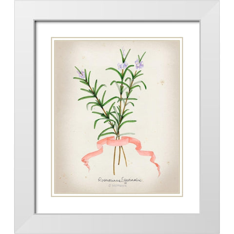 Herb Series III White Modern Wood Framed Art Print with Double Matting by Goldberger, Jennifer