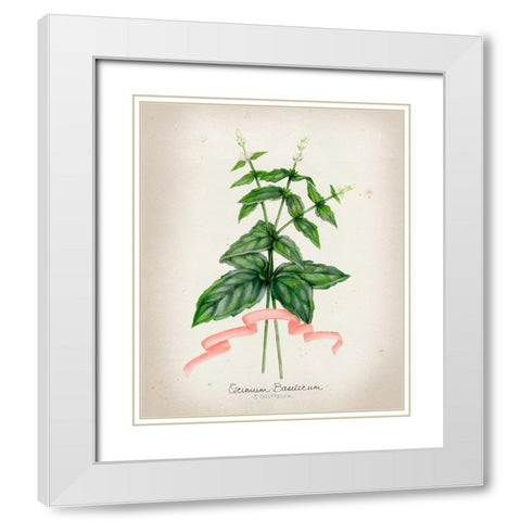 Herb Series IV White Modern Wood Framed Art Print with Double Matting by Goldberger, Jennifer