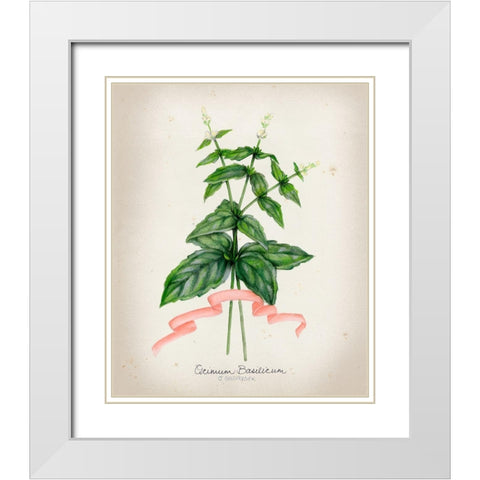 Herb Series IV White Modern Wood Framed Art Print with Double Matting by Goldberger, Jennifer